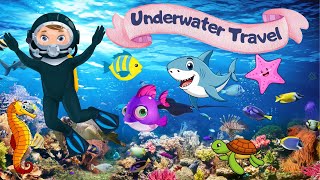 Under the Sea Adventure ocean animals kids song preschool learning videoanimals song [upl. by Nosila]