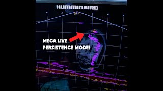 Humminbird MEGA Live Persistence Mode shorts [upl. by Lumpkin]