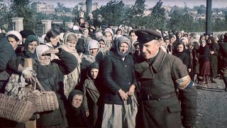 Einsatzgruppen The Nazi Death Squad WWII Documentary [upl. by Milda665]