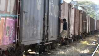 TREM  SURFISTA e CARONA  RAILWAYS BRAZIL TRAIN  FULL HD  By FARINA [upl. by Horick]