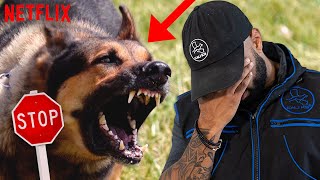 How to STOP Dog Aggression By Building Confidence [upl. by Cai828]