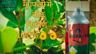 Nagraj 505 Insecticide Chloropyriphos 50  Cypermethrin 5 EC मूंगफली में कीट नियंत्रण कैसे करें [upl. by Monk77]