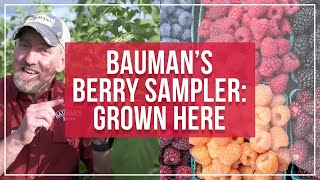 Baumans Berry Sampler Grown Here at the Farm [upl. by Uri299]