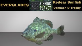 Fishing Planet Everglades redear Sunfish Common amp Trophy [upl. by Ainud]