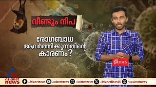 വീണ്ടും നിപ രോഗബാധ ആവര്‍ത്തിക്കുന്നതിന്റെ കാരണമെന്ത് [upl. by Abby886]