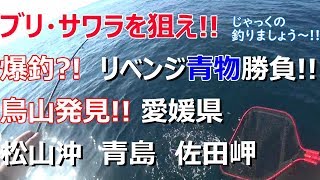 ブリ、サワラを狙えハマチサワラヤズサゴシ釣り愛媛県松山沖青島興居島佐多岬ジグ釣りじゃっくの釣りましょうvol16 [upl. by Ardnekahs739]