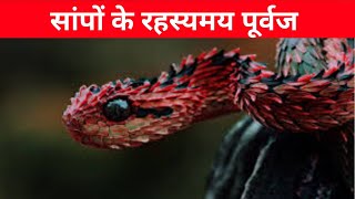 Ancient Ancestors of Snakes A Fascinating Evolutionary Journey  pehel creation [upl. by Latt36]