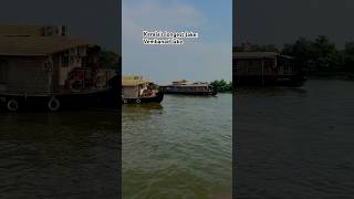 Alleppey Houseboat Vembanad lake India travel alleppeyhouseboats kerala shorts [upl. by Elleda]