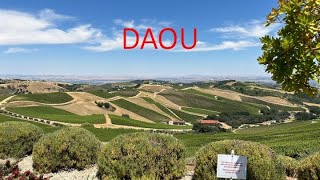 A Daou é uma vinícola Californiana que produz grandes vinhos [upl. by Conlee]