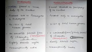 Euchromatin Vs Heterochomatin pharmacology cellbiology biology [upl. by Frendel]