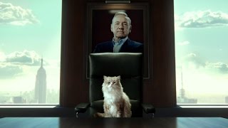 quotSiete vidasquot Nine Lives  Trailer en español [upl. by Noir]