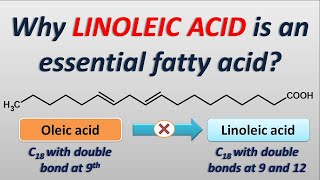 Why Linoleic acid is an essential fatty acid [upl. by Nilhtac]