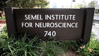 Institutes for Neuroscience amp Human Behavior MMM 3 [upl. by Besnard167]