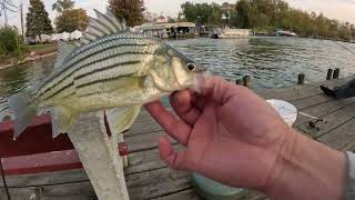 Spring Lake Fishing [upl. by Finer]