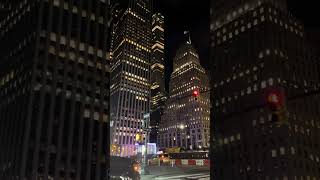 5th Ave and 59th Street youtube youtubeshorts youtubevideos travel vlog usa newyork [upl. by Waxman622]