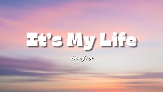 Bon Jovi  Its My Life Lyrics [upl. by Eecram]