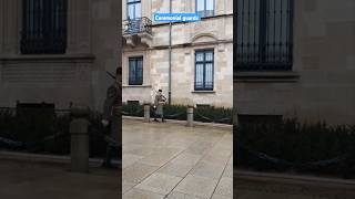 Why is this police walking always in luxembourg [upl. by Nyleahs306]