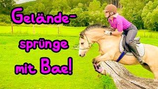 Geländesprünge auf Bae amp Überraschungspferd 🦄 Wow wie gut es klappt [upl. by Auqcinahs]