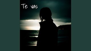 Te Vas [upl. by Irene357]