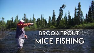 Fishing Brook Trout in a River with a Mouse Pattern [upl. by Arymas]