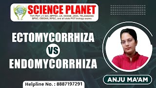 Ectomycorrhiza Vs Endomycorrhiza by Anju Mam on Science Planet [upl. by Zelde116]