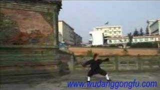 WuDang martial artsBa Ji Quan [upl. by Suravat425]