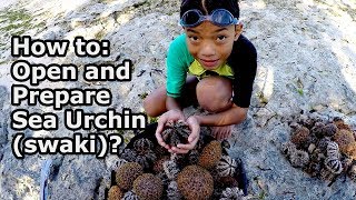 How to Open and Prepare Sea Urchin or Swaki to eat [upl. by Cayla725]