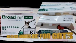 How to Use Broadline for Cats  Anti Flea Ticks Mange Tapeworm Lung Worms and Heart Worm [upl. by Reyaht]