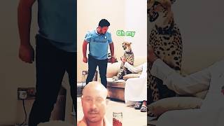 Tiger ne hamla kar Diya shorts animaltrap viralvideos vlog [upl. by Eugirne]