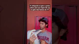 El gato más famoso de YT [upl. by Repooc]