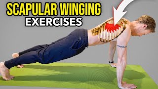 3 Exercises for Scapular Winging Serratus Anterior Muscle Strengthening [upl. by Zeeba]