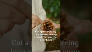 How to make a pinecone firelighter [upl. by Bergin]