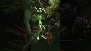 dame tu cositaalien dancefunny aliencomedy color dancecrazzyalienzfunny [upl. by Nileek101]