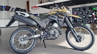 YAMAHA LANDER 250 ABS 2023  MOTO AVENTUREIRA [upl. by Roleat242]