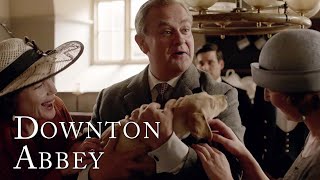 Robert Crawley Gets a New Puppy  Downton Abbey [upl. by Jacobba]