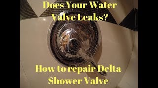 how to repair delta shower valve that its leaking [upl. by Federica624]