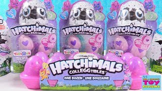 Hatchimals Palooza Season 2 Owlicorn Exclusive CollEGGtibles Toy Review  PSToyReviews [upl. by Wolfson]