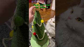 Ferdi’s Cat Scratcher Christmas Tree cattree [upl. by Laehcim]