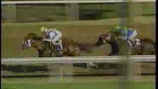 1987 Breeders Cup Classic [upl. by Thomey]