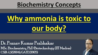 Why ammonia is toxic to our body Why ammonia is toxic to our brain [upl. by Anirtac]