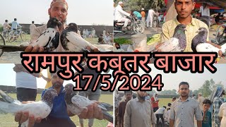 Rampur Kabutar market 1752024 [upl. by Baerman]