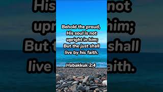 Habakkuk 24 Bible Verse Of The Day Bible biblestudy bibleverse God Jesus Godislove fyp [upl. by Teressa]