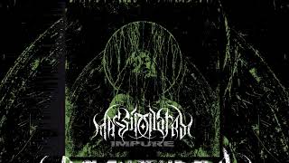 Mass Idolatry  Impure 320 Full Album [upl. by Patty]