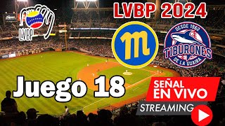 🔴 En Vivo Navegantes del Magallanes vs Tiburones de La Guaira LVBP 2024 en vivo hoy [upl. by Adda495]