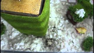 Messor barbarus new yellow Ytong nest [upl. by June347]