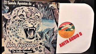 LOS JAGUAR  LA CASTIGADORA  LP AUDIO [upl. by Theron21]