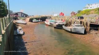 Bay of Fundy Tides Timelapse Video [upl. by Liam209]