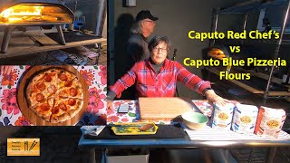 Caputo Blue Pizzeria vs Caputo Red Chefs Flour [upl. by Zitah804]