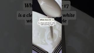 Benjamin Moore Color Trends 2024 White Dove OC17 [upl. by Akiam176]