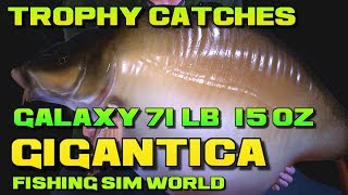 Fishing Sim World Lake Gigantica Trophy Carp  Galaxy Starburst Longfish [upl. by Nohsar372]